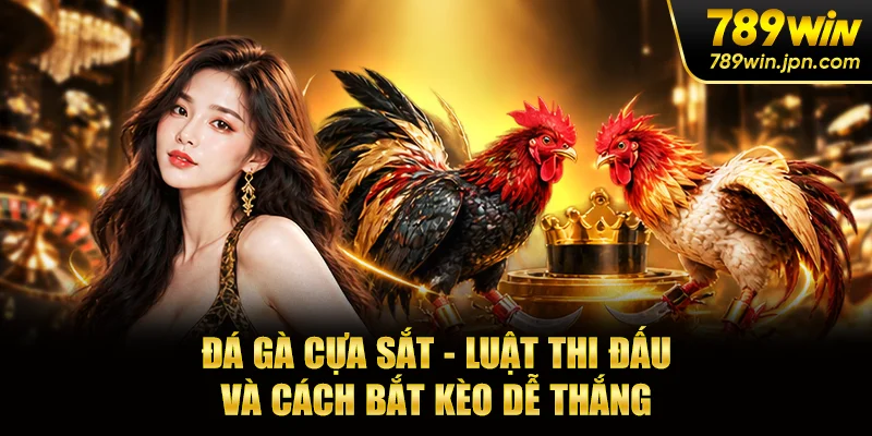 Đá Gà Cựa Sắt - Luật Thi Đấu Và Cách Bắt Kèo Dễ Thắng